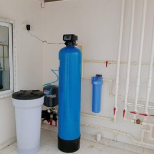Whole house water softener
