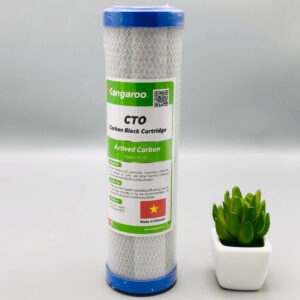 Carbon Block Cartridge 10"(Active Carbon)